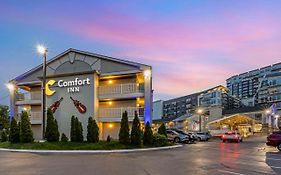 Comfort Inn Nashville Vanderbilt